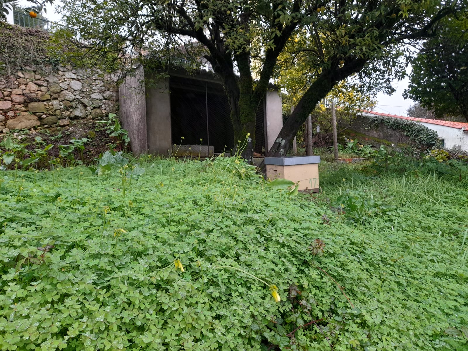 Fachada da moradia